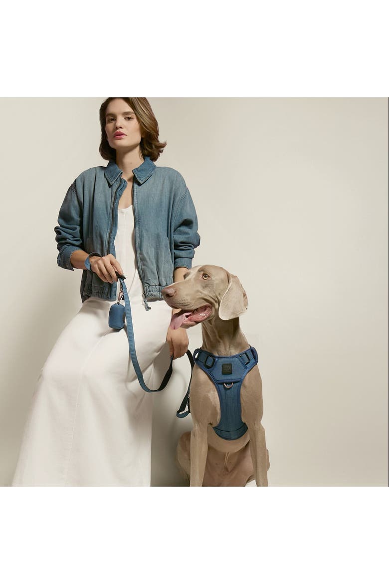 The NoMad Adjustable Luxe Harness, Alternate, color, Denim