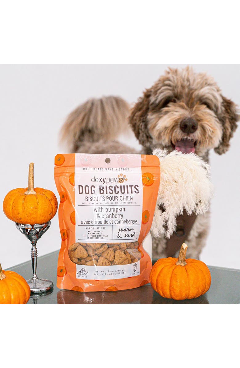 Dexypaws Pumpkin
Cranberry Dog Biscuits 12oz, Alternate, color, Brown