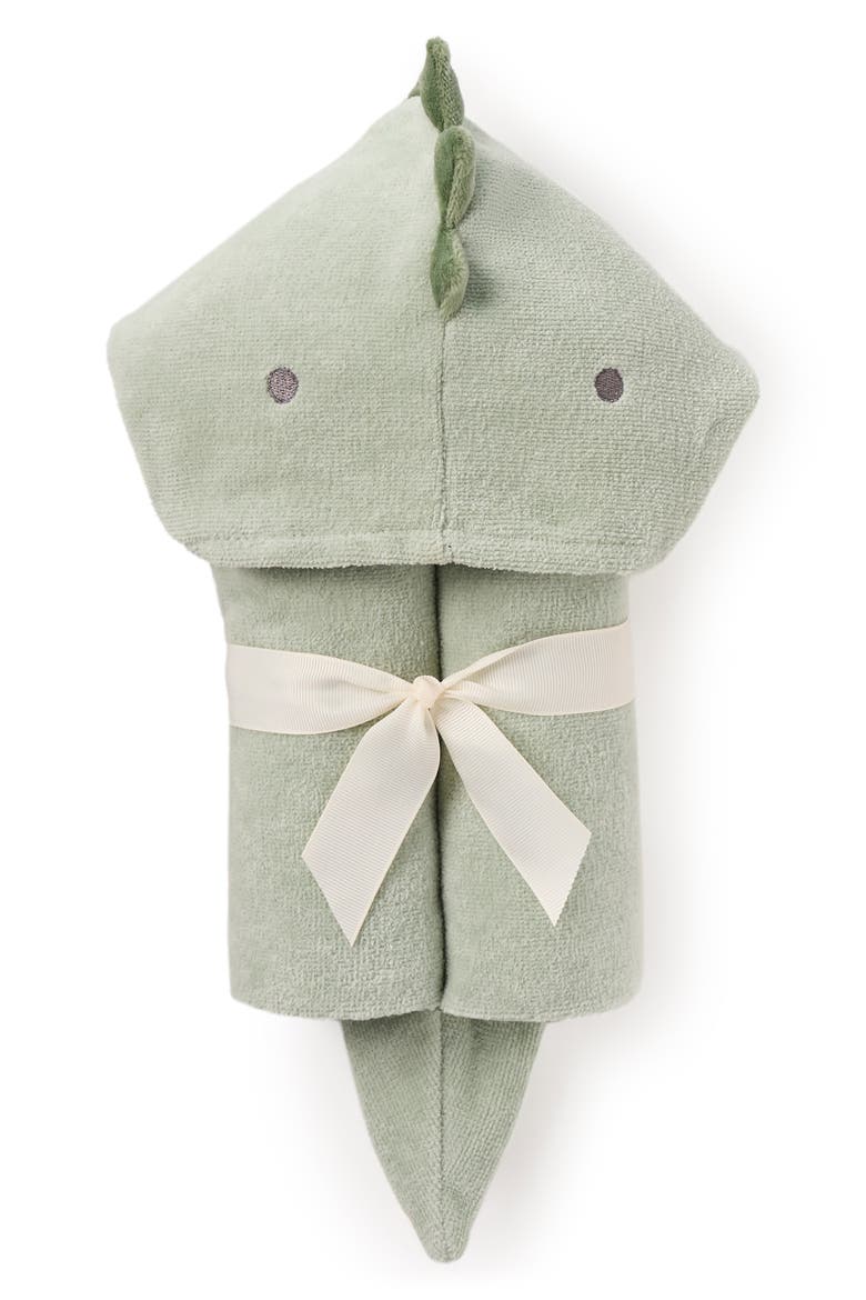 Terry Velour Hooded Dinosaur Towel, Alternate, color, SAGE GREEN