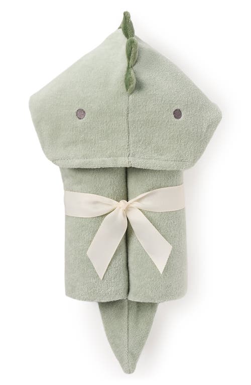 Shop Elegant Baby Terry Velour Hooded Dinosaur Towel In Sage Green