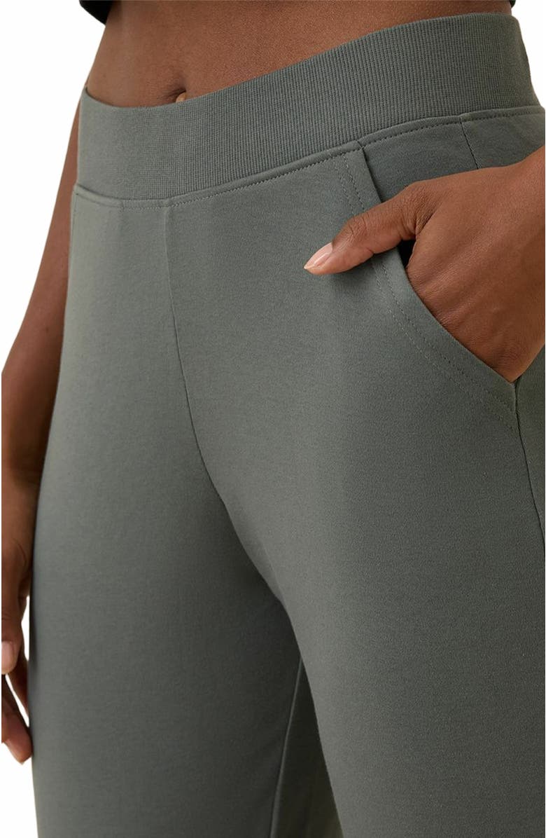 Pact Everyday Airplane Joggers, Alternate, color, Castor Grey