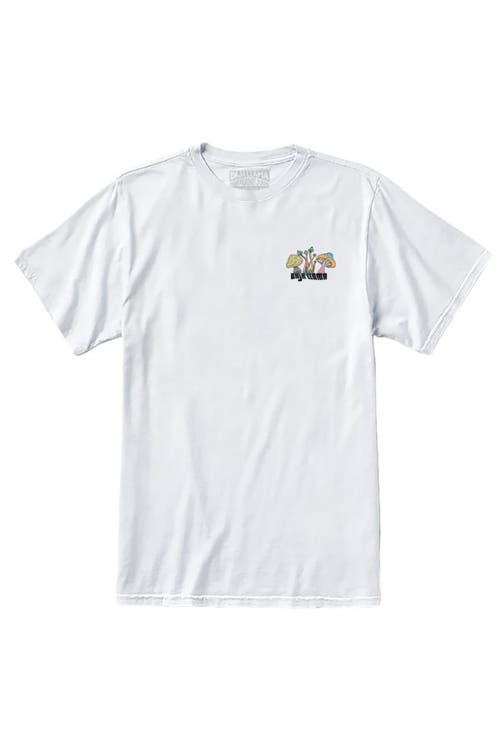 Baja Llama Men's A Trip Of A Lifetime - White Primo Graphic Tee In White