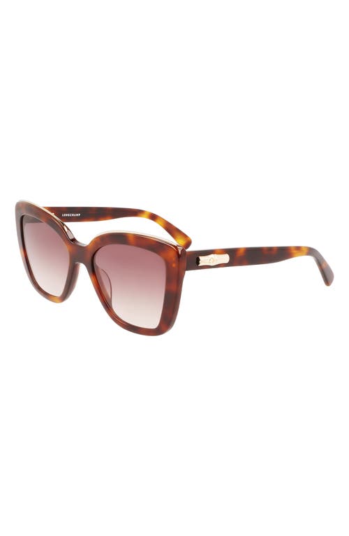 Longchamp Roseau 53mm Gradient Rectangle Sunglasses