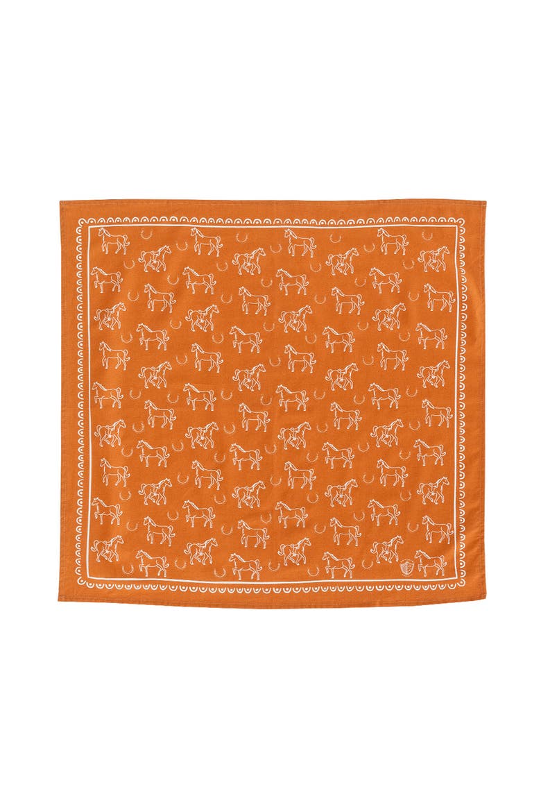 Yeehaw Bandanas, Main, color, Horse