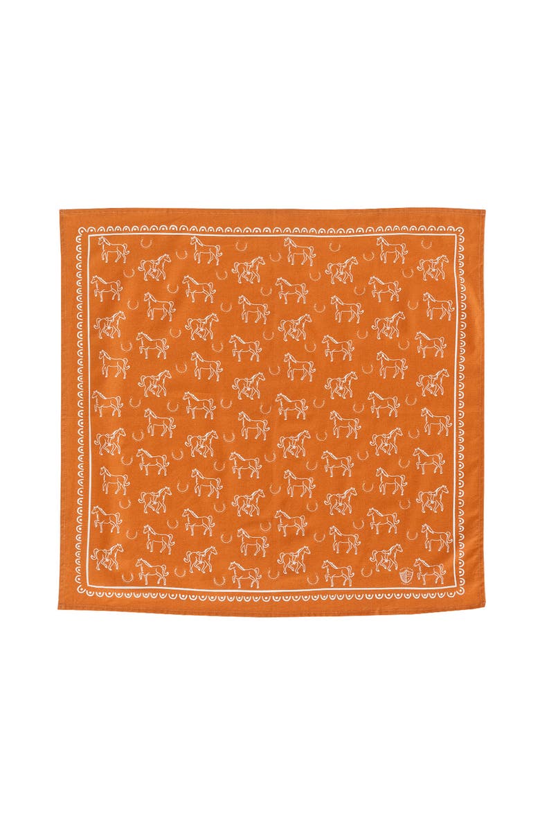 Daydream Society Yeehaw Bandanas, Main, color, Horse