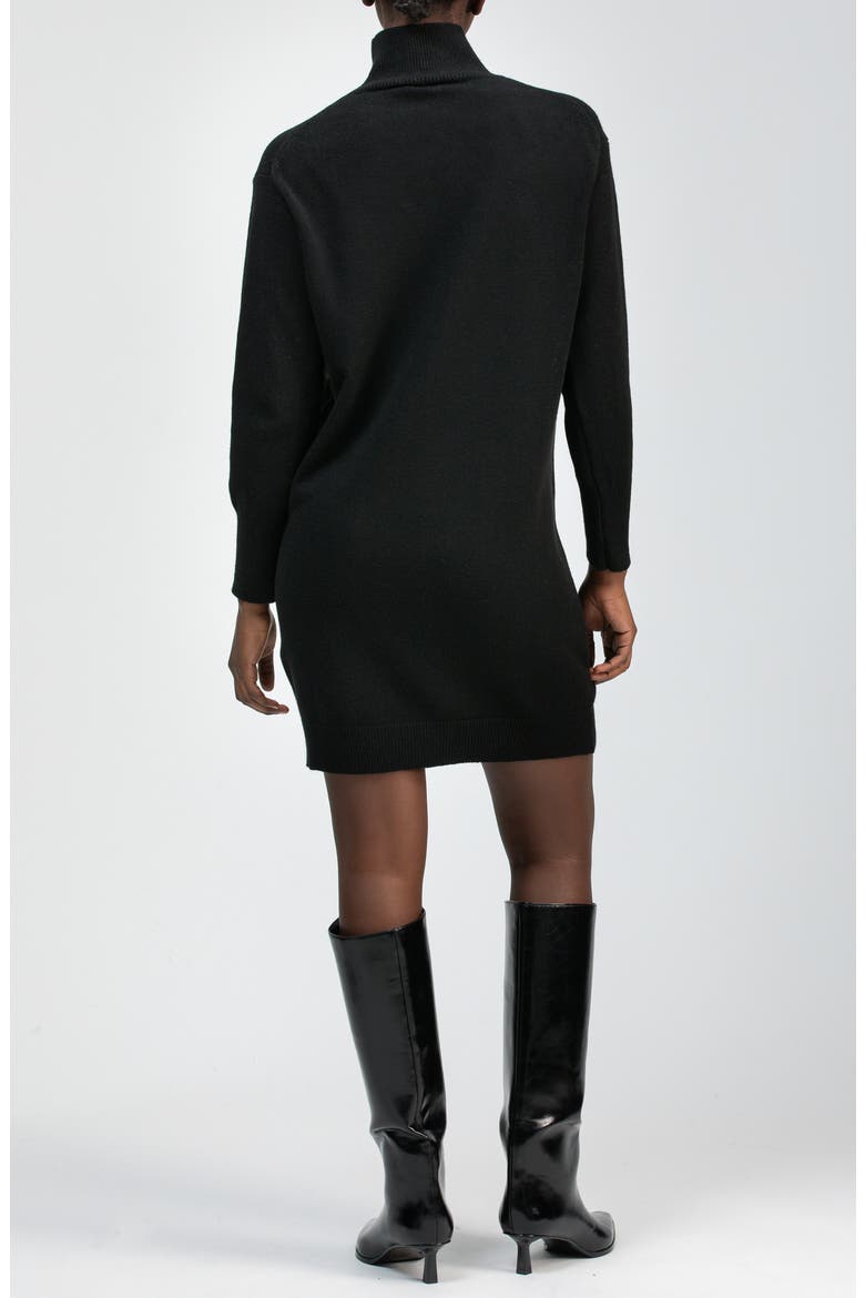 Felicia Turtleneck Long Sleeve Sweater Dress, Alternate, color, BLACK