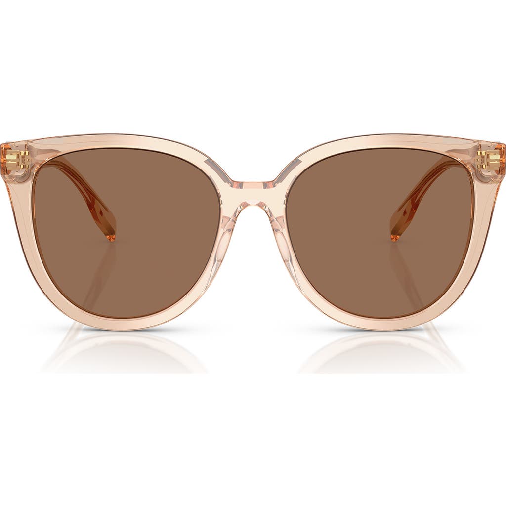 Tory Burch 56mm Phantos Sunglasses In Transparent