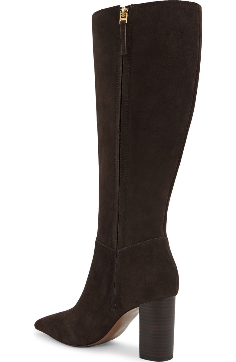 Reiss Bianca Pointed Toe Knee High Boot, Alternate, color, Chocolate