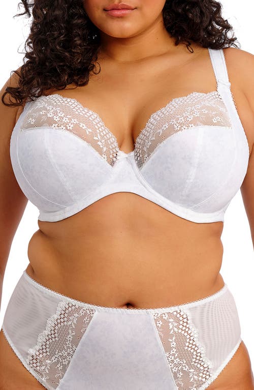Elomi Lucie Full Figure Underwire Plunge Bra In White