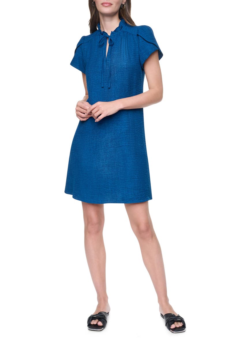 Ruffled Envelope Sleeve Shift Dress, Main, color, LUSH ATLAN
