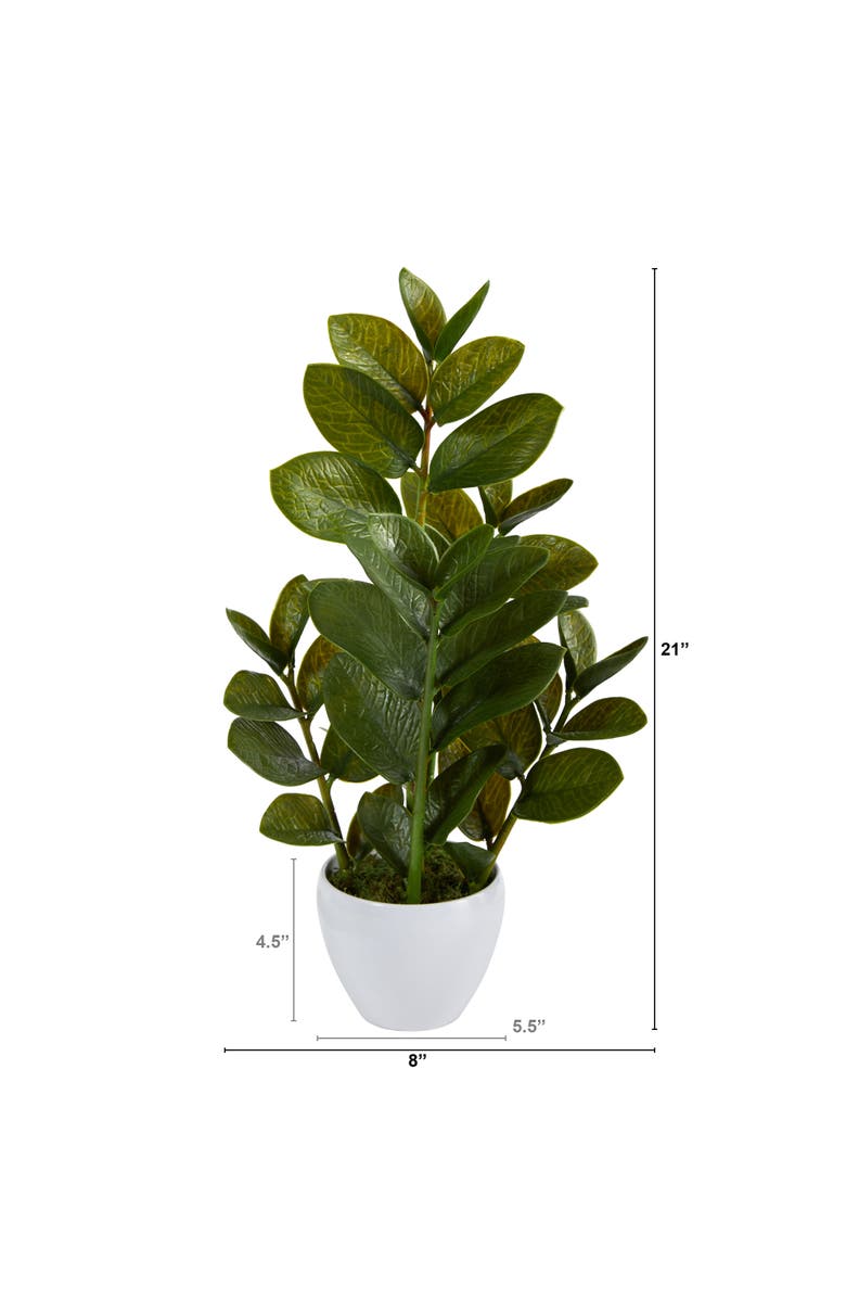 NEARLY NATURAL 22-in Zamioculcas Artificial Plant in White Planter, Alternate, color, Green