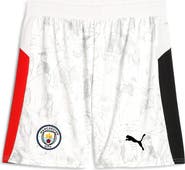 PUMA x KidSuper MCFC Replica Performance Mesh Soccer Shorts