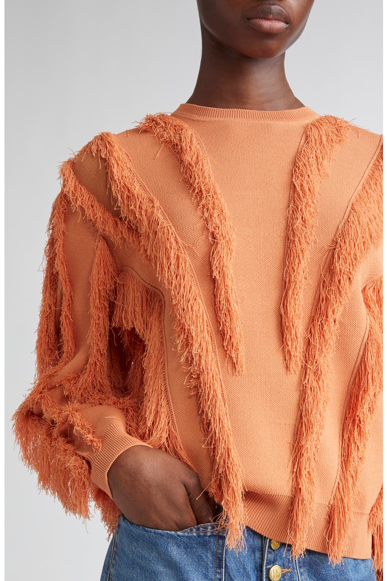 Aubree Fringed Sweater, Alternate, color, TULIP