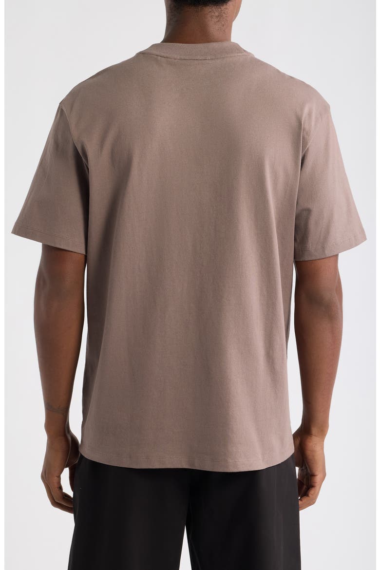 Dapolino Cotton Crewneck T-Shirt, Alternate, color, RUST/ COPPER