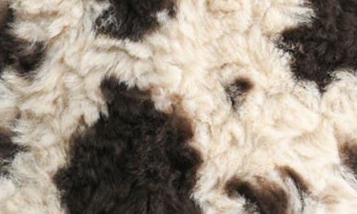 All In Favor All In Multi