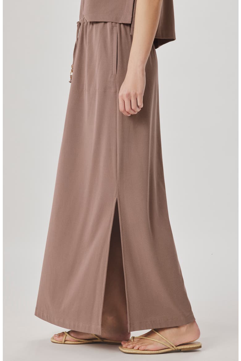 Sasha Sandwash Maxi Skirt, Alternate, color, WICKER BEIGE