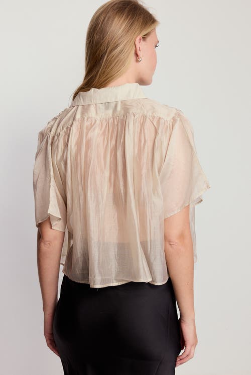 The Shirt By Rochelle Behrens The Hayden Shirt In White