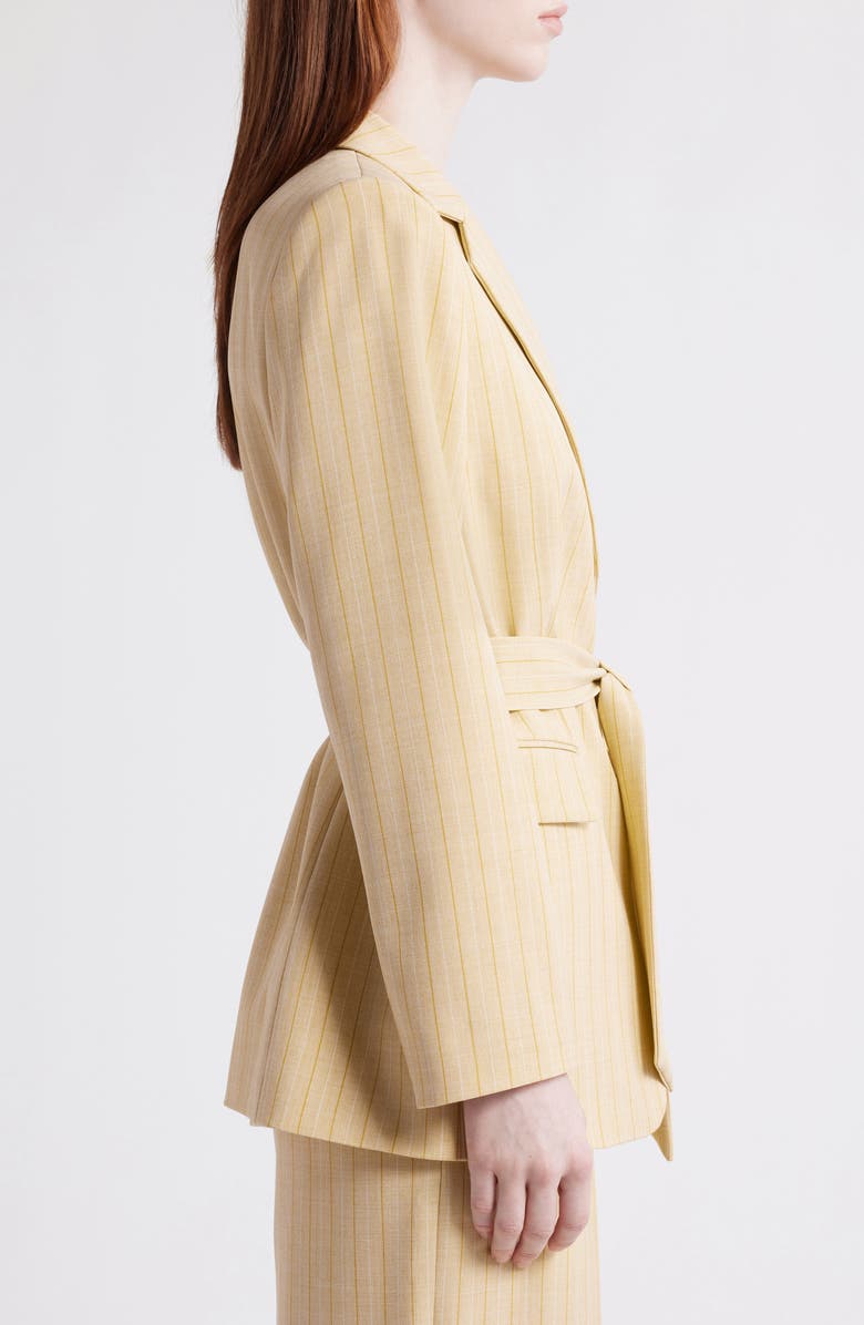 Tahari ASL Belted Stripe Blazer, Alternate, color, 