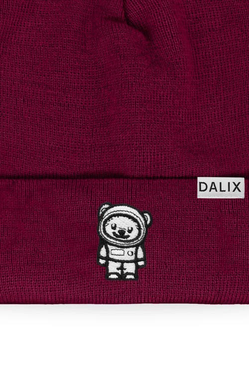 Dalix Ice Bear Beanie In Maroon