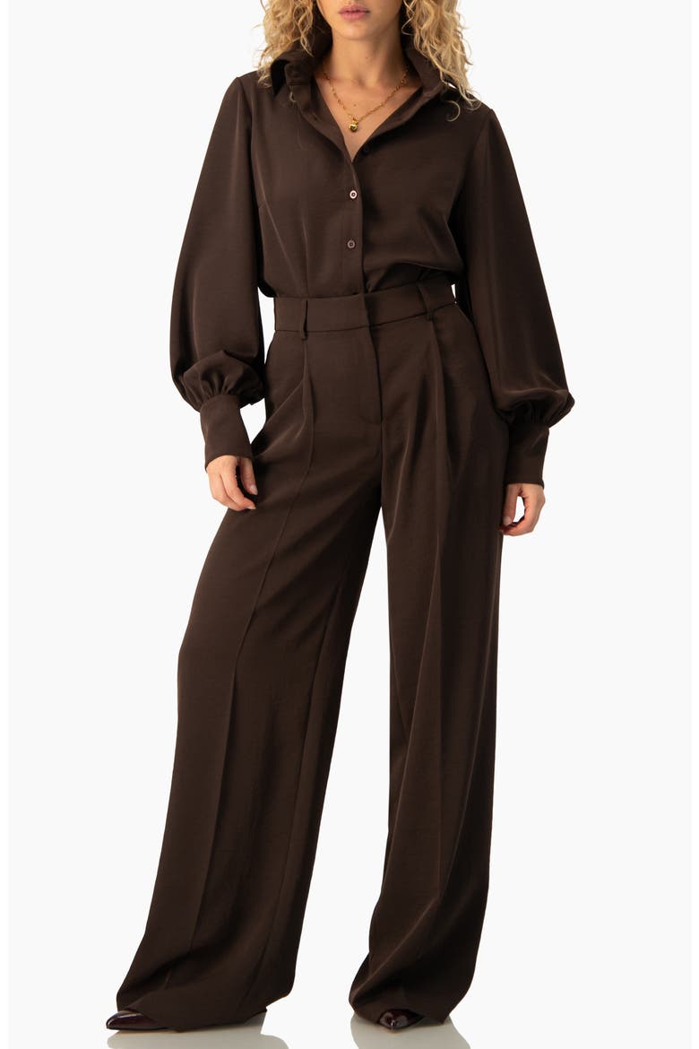 Long-Sleeve Puff-Sleeve Point-Collar Button-Front Shirt, Alternate, color, Brown