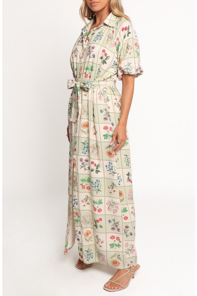 James Print Tie Waist Maxi Dress, Alternate, color, FLOWER MARKET