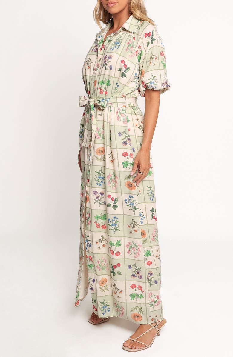 Petal & Pup James Print Tie Waist Maxi Dress, Alternate, color,