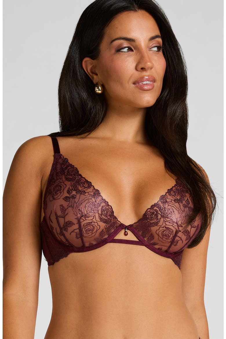 Hollie Embroidered Mesh Underwire Bra, Alternate, color, FIG