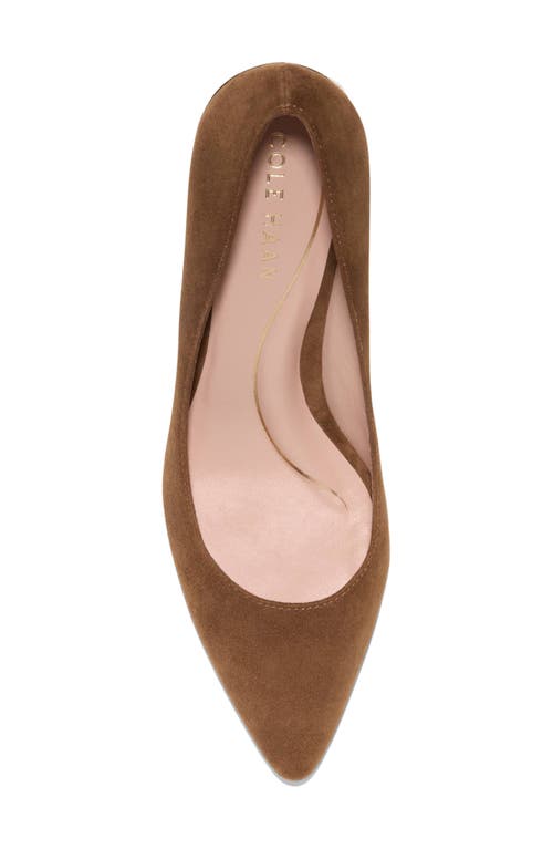 COLE HAAN COLE HAAN CASSANDRA POINTED TOE PUMP