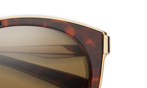 Smith Somerset 53mm Chromapop™ Polarized Round Sunglasses In Brown