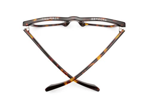 Caddis D28 | Reading Glasses