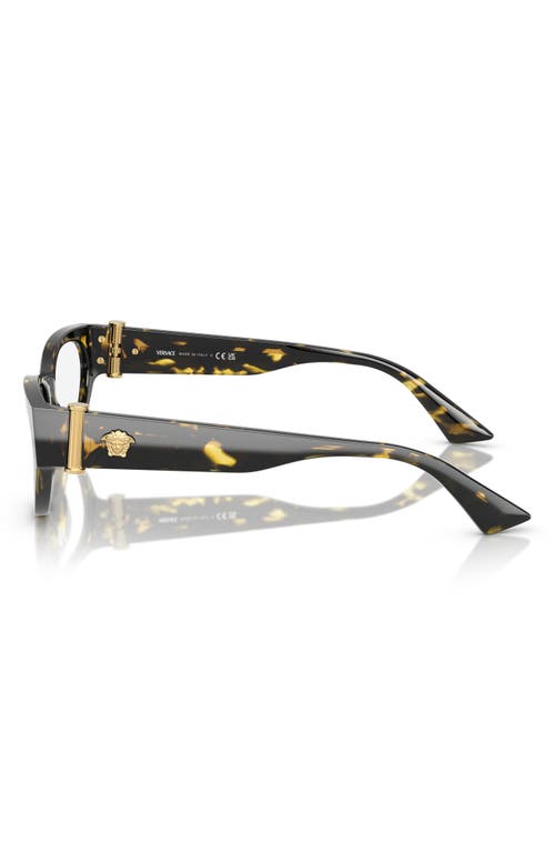 Versace 55mm Cat Eye Optical Glasses In Havana