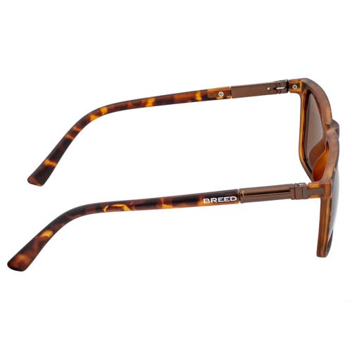 Breed Caelum Polarized Sunglasses In Tortoise/brown