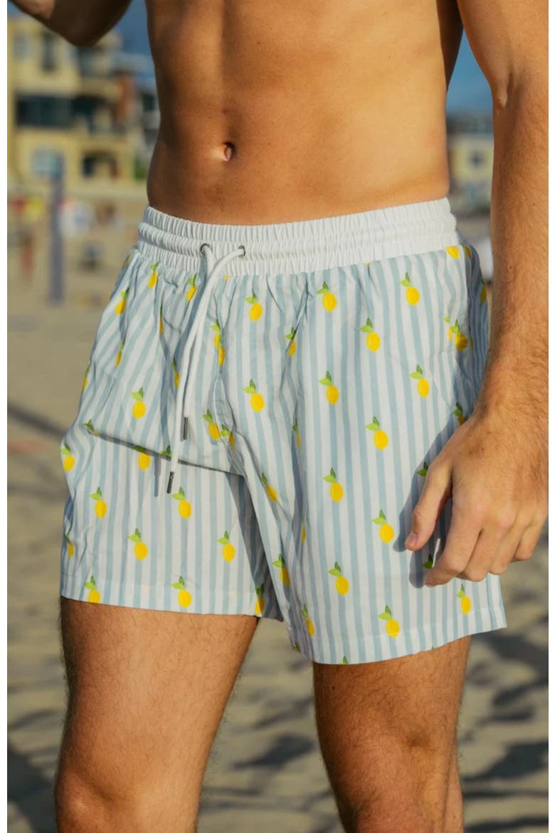 Jesse Swim Shorts, Alternate, color, Blue Lemon