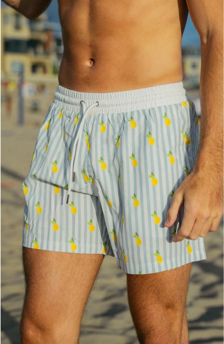 Ivy Swimwear Jesse Swim Shorts, Alternate, color, Blue Lemon