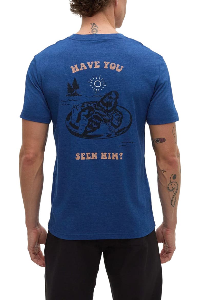 Have You Seen Him Floatie T-Shirt, Alternate, color, NightfallHeather/MeteoriteBlk