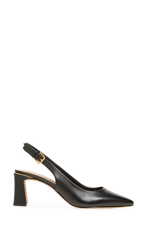 Vince Camuto Hamden Pointed Toe Slingback Pump In Black Deluxe Nappa Le