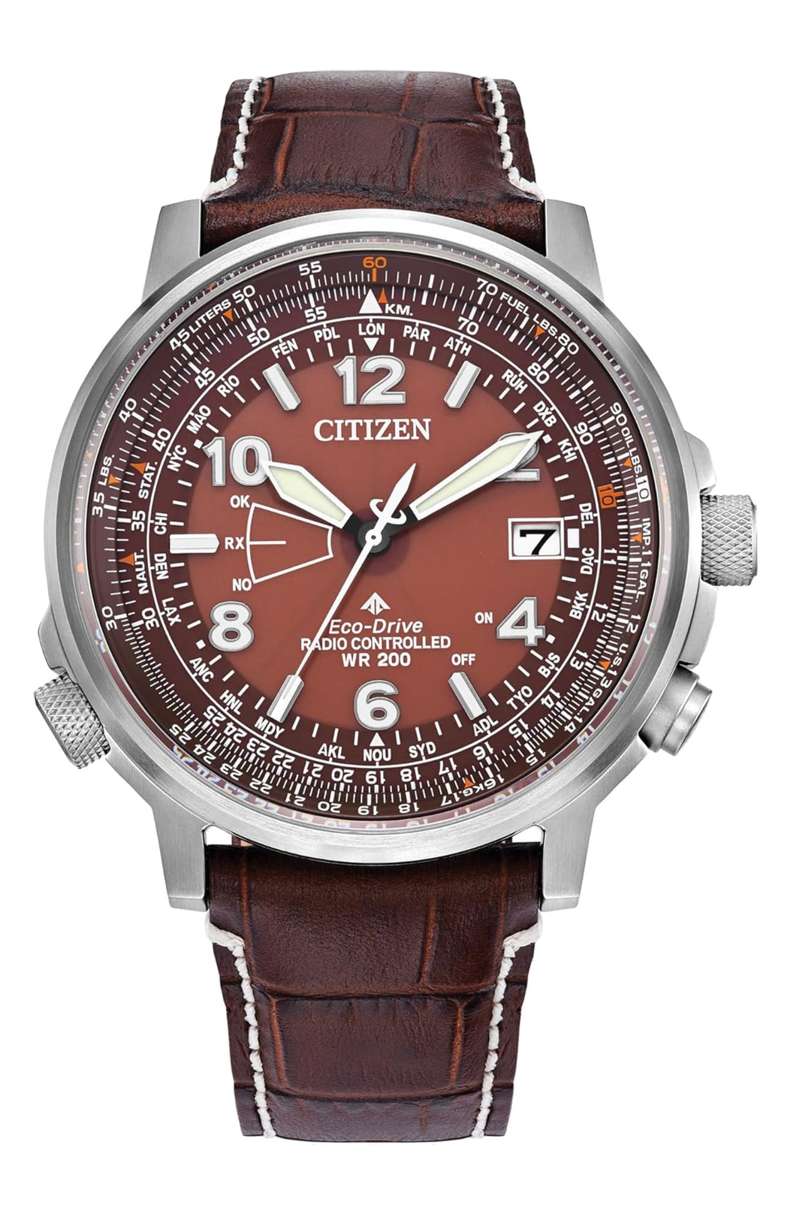 Citizen Promaster Sky Perpetual World Time Eco-Drive Leather Strap Watch, 42.4mm