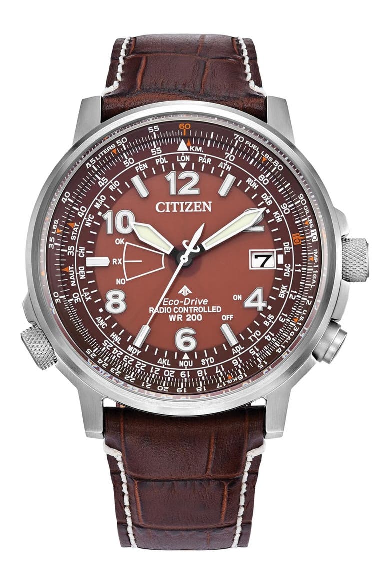 Promaster Sky Perpetual World Time Eco-Drive Leather Strap Watch, 42.4mm, Main, color, BROWN/BURGUNDY