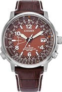 Citizen Promaster Sky Perpetual World Time Eco-Drive Leather Strap Watch, 42.4mm