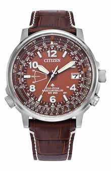 Citizen Promaster Sky Perpetual World Time Eco-Drive Leather Strap Watch, 42.4mm