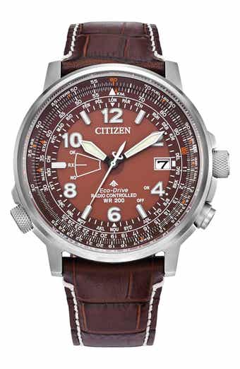 Citizen Promaster Sky Perpetual World Time Eco-Drive Leather Strap Watch, 42.4mm