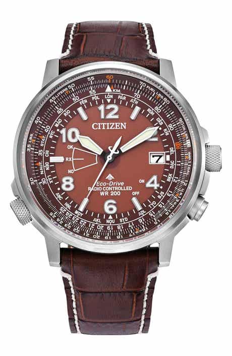 Citizen Promaster Sky Perpetual World Time Eco-Drive Leather Strap Watch, 42.4mm