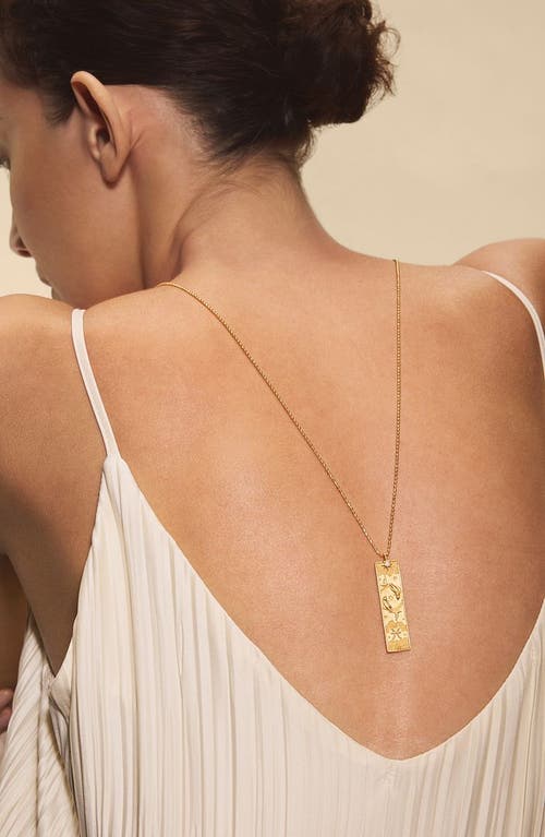 Satya Jewelry Story Of Zodiac Necklace