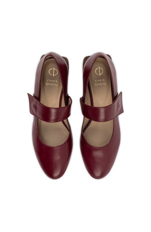 Chris Donovan Footwear Fable Mary Jane In Burgundy
