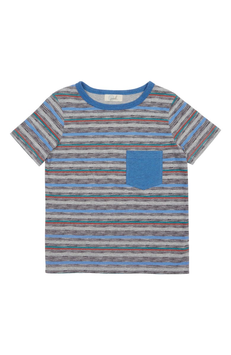 Peek Aren't You Curious Liam Stripe Pocket T-Shirt, Main, color,