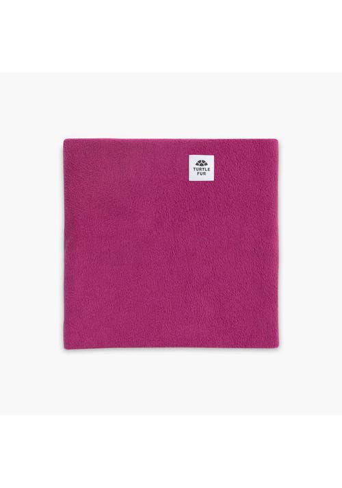 Turtle Fur Double-layer Fleece Neck Warmer In Purple