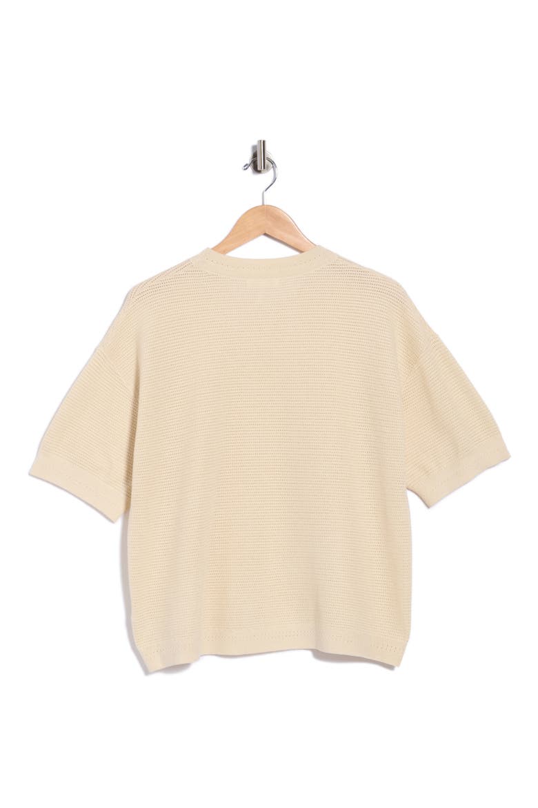 Zane Short Sleeve Crewneck Top, Alternate, color, SAND
