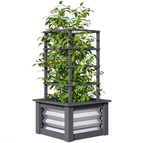 Raised with Steel Sides, Raised Garden Bed