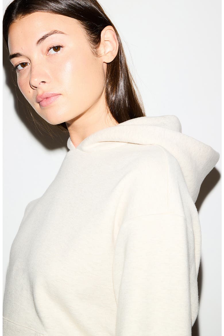 Cotton Fleece Blend Classic Hoodie, Alternate, color, OATMEAL HEATHER