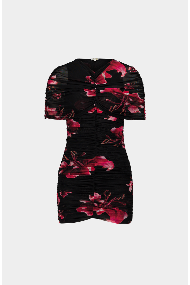 Draped Floral Mini Mesh Dress, Main, color, Black / Red Floral
